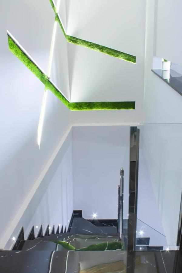Appartement Alma